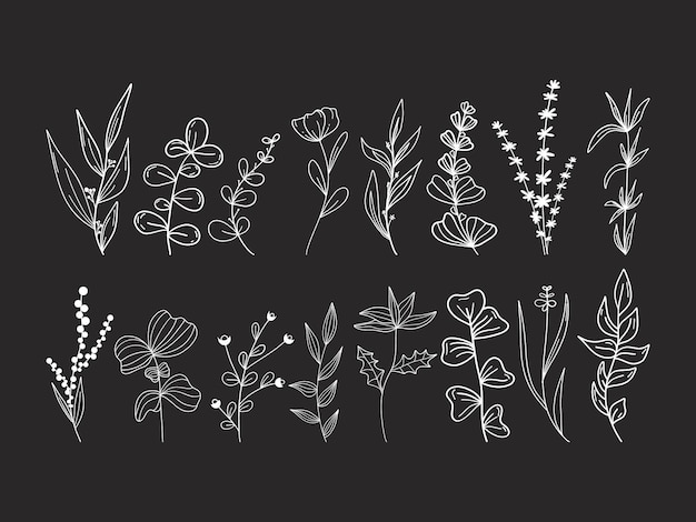 Ботанический векторный стиль каракулей Ветви растений, листья, цветы, ягоды