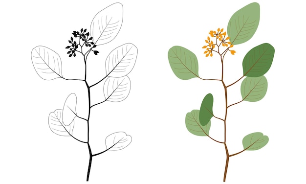 식물 벡터 수채화 꽃 꽃다발 우아한 고립 된 식물 예술 프레임