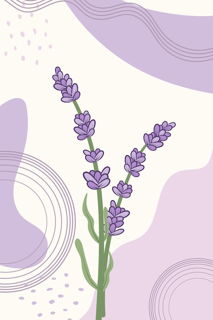 Vector botanical wall art with lavender sprig and different abstract spots in trendy style