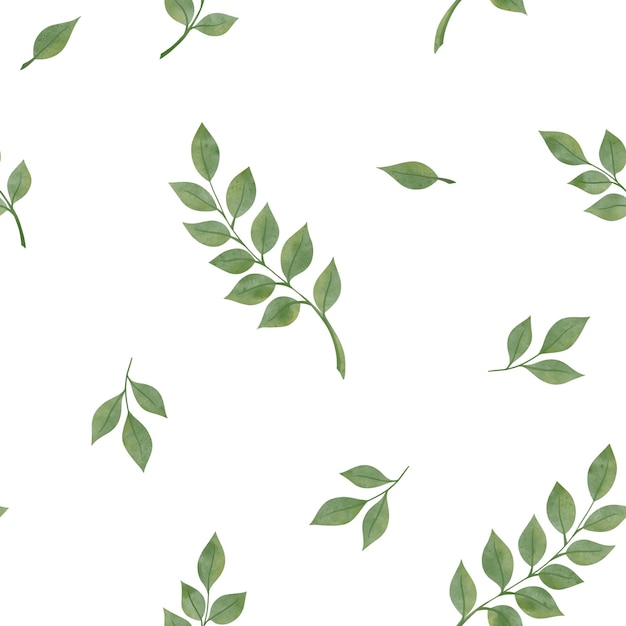 Botanical watercolor green stems vector seamless pattern leaves wallpaper