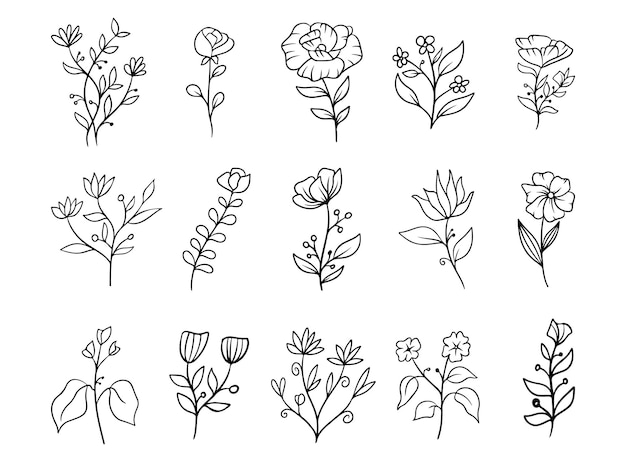 Vector botanical wildflower line art