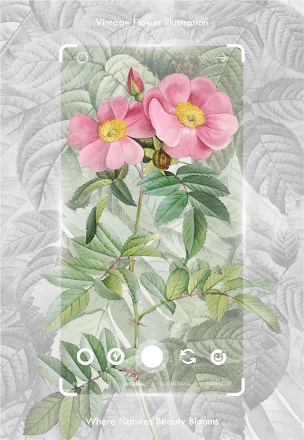 botanical