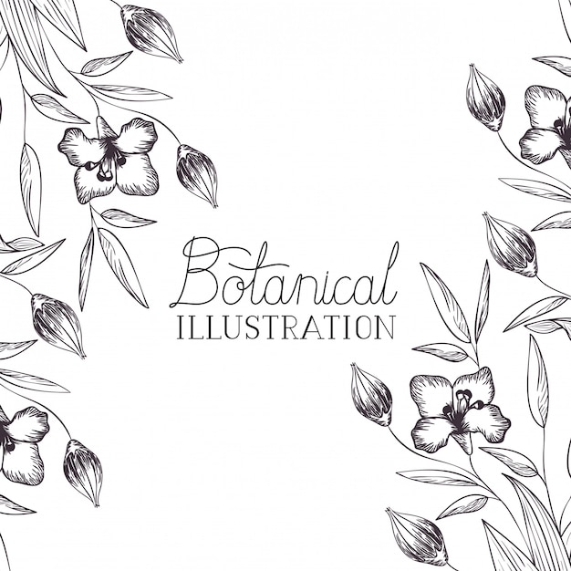 Botanisch illustratielabel met installaties