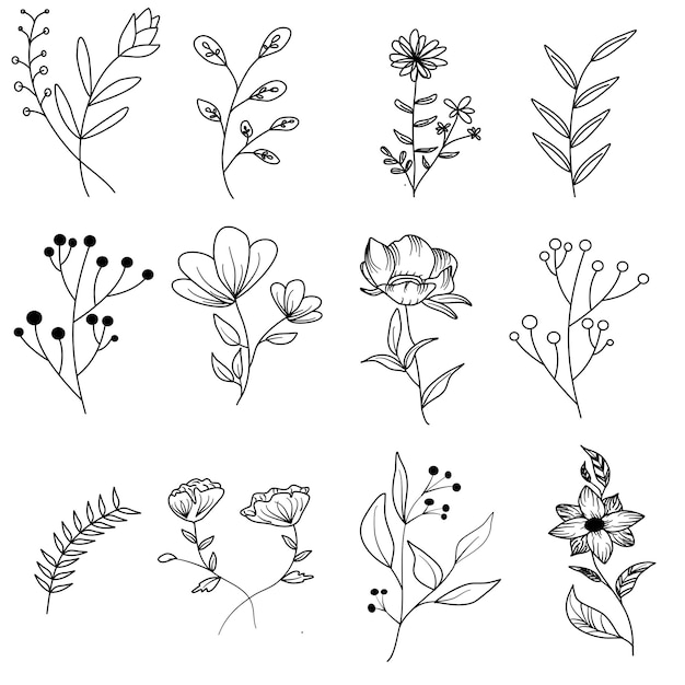 Botanische blad bloem doodle lijntekeningen set