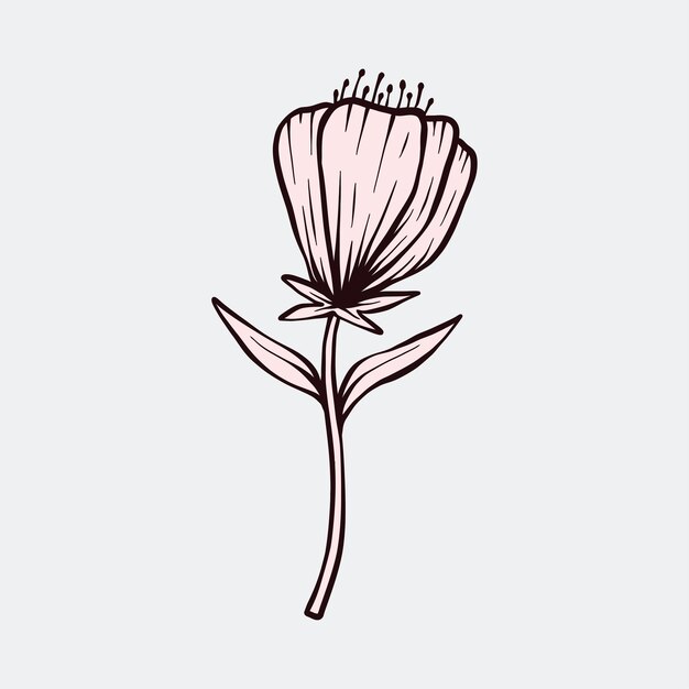 botanische bloem bloemen illustratie vector