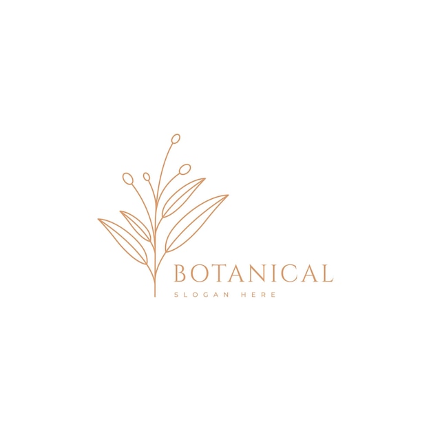 botanische bloem schoonheid zomer minimalistische logo ontwerp grafische vector