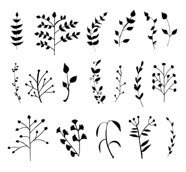 Botanische bloemen bloem element set geïsoleerd vector silhouet