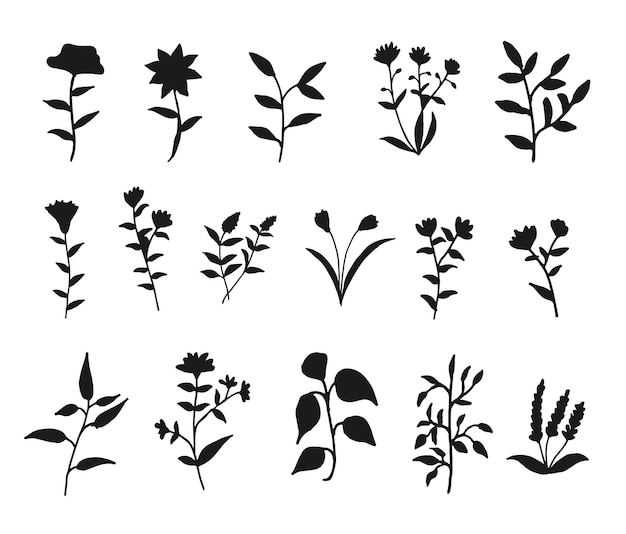 Botanische bloemen bloem element set geïsoleerd vector silhouet