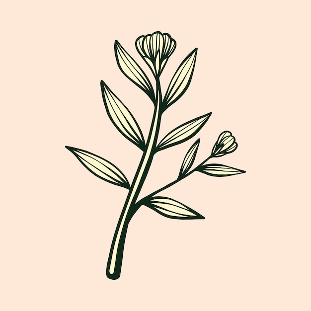 botanische bloemen illustratie vector