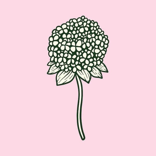 botanische bloemen illustratie vector