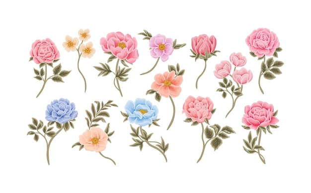 Botanische bloemen roos tulp peony en tak vector illustratie element collectie