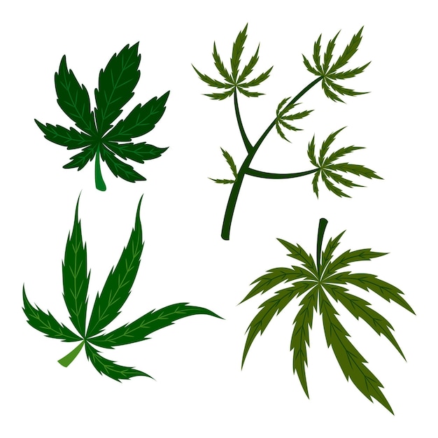 Botanische cannabisbladeren