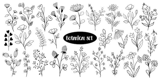 Botanische doodle set met bloemen en planten