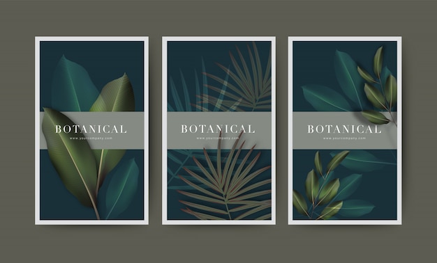 Vector botanische illustratie set met echte blad