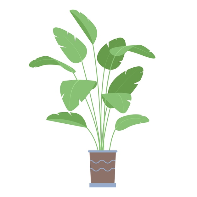 Botanische kamerplant voor binnenshuizen