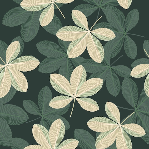 Botanische naadloze patroon met doodle scheffler bloemen elementen