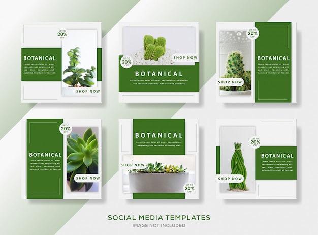 Vector botanische pack banner sjabloon post met groene kleur.