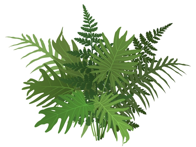 Vector botanische vector illustratie tropische bladeren struik geïsoleerd op witte achtergrond jungle groene flora