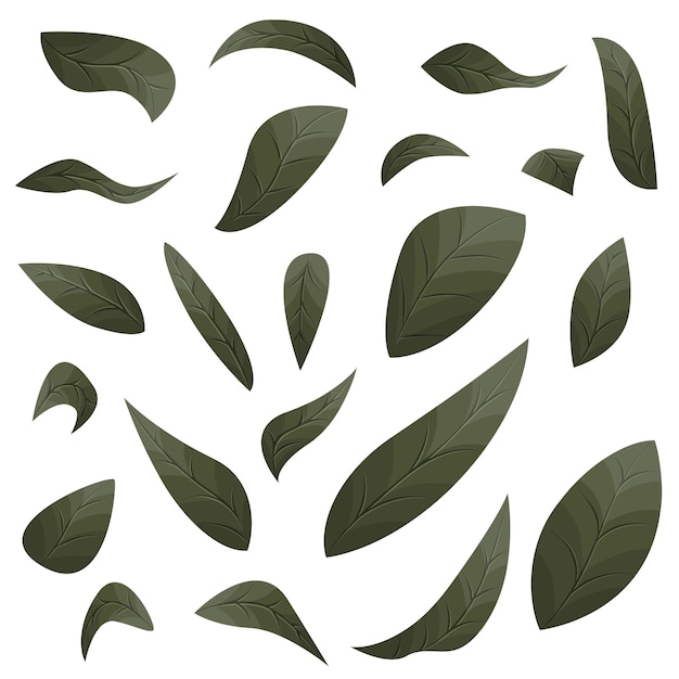 Vector botanische vectorillustratie van theeblaadjes groene en zwarte thee verpakking ontwerpelementen premium
