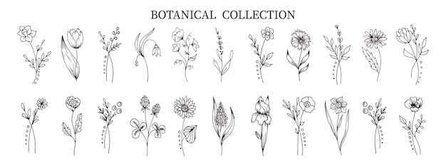 Botanische verzameling handgetekende bloemen en planten in doodle stijl. Schets, lijntekeningen. Pictogrammen