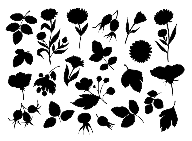 Botanische verzameling planten en bloemen vector bloemen silhouetten ontwerpelementen