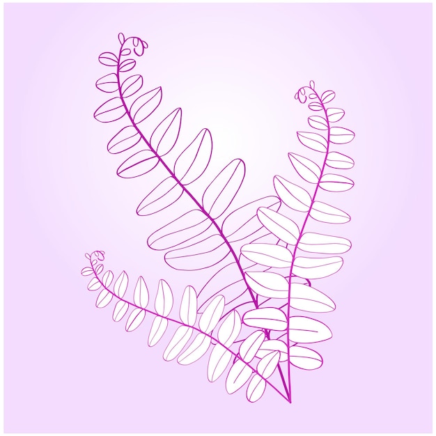 Botanische zwart-witte natuurlijke elementen vector achtergrond