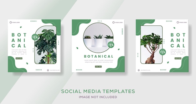 Banner di botanica per post premium sui social media