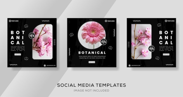 Vector botany banner for social media post template premium