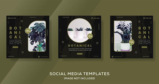 Vector botany banner template  for social media instagram post premium vector