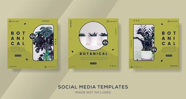 Botany banner template for social media premium vector