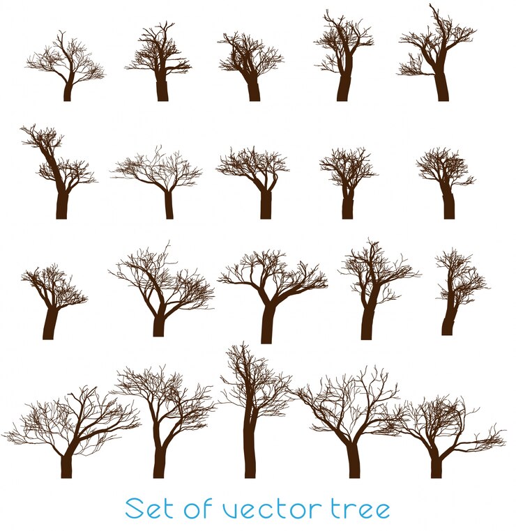 Vector botany branch set landscape leaf