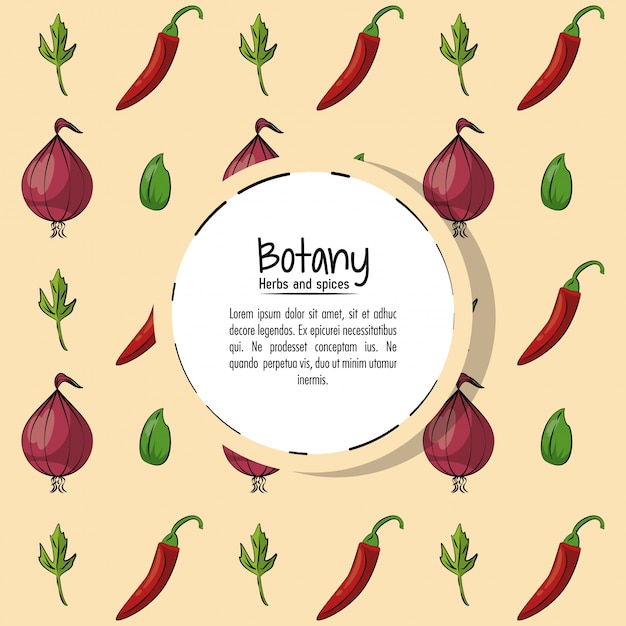 Botany herbs and spices background