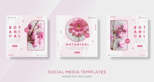 Шаблон баннера ботаники для социальных сетей