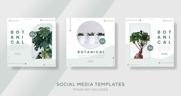 Botany nature sale template post premium vector