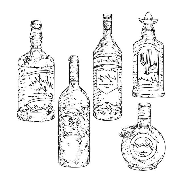 Vector bottle glass set sketch hand drawn vector