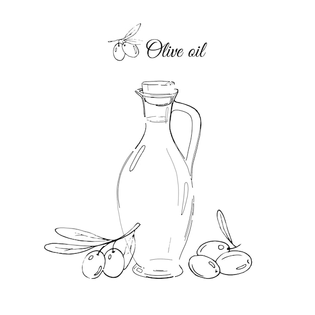 Bottle of olive oil and olives, hand-drawn vector linear sketch