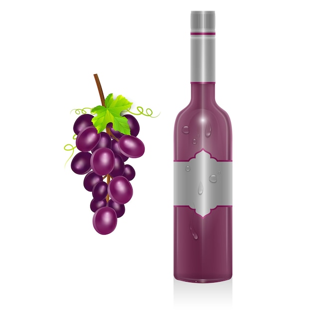 Bottle of red wine and bunch of grapes isolated on white background