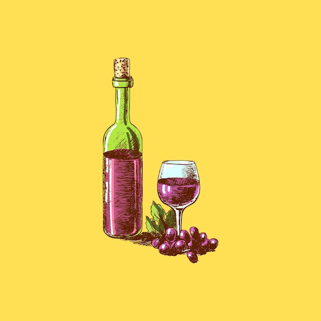 bottle of wine and glass vector