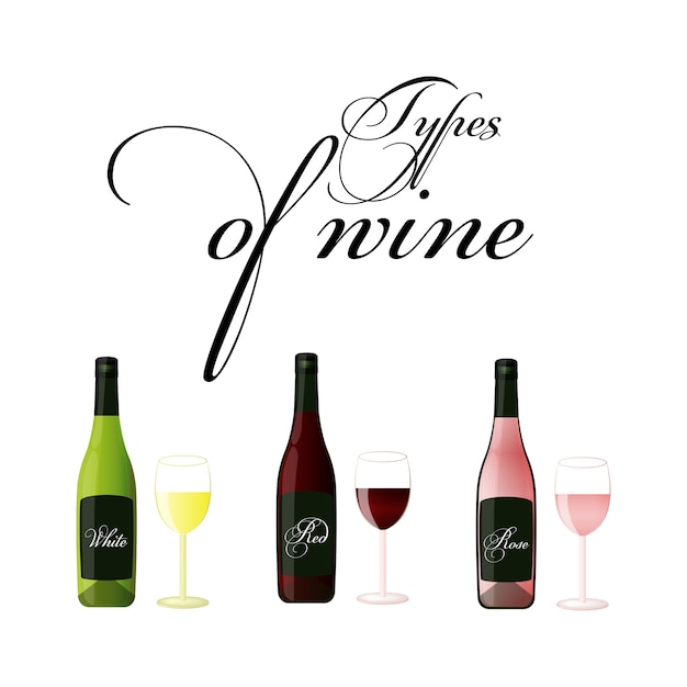 Bottles of wine - red, white and rose - vector drawing isolated