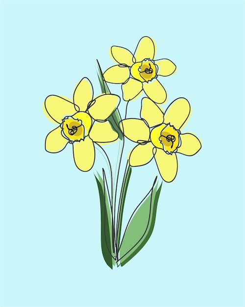 Vector bouquet of daffodils