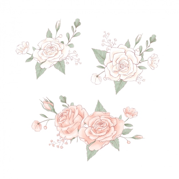 Vettore bouquet di rose delicate. disegno a mano