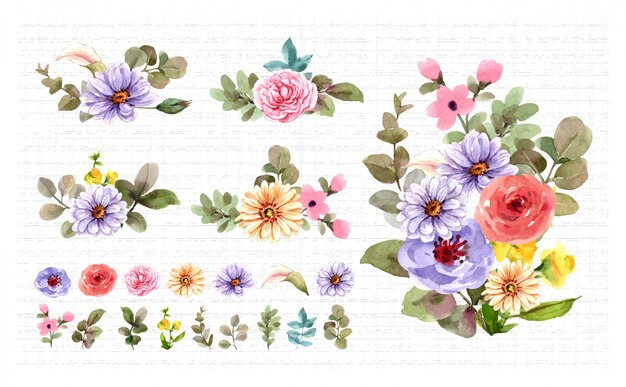 Vector bouquet and floral elements watercolor set   .