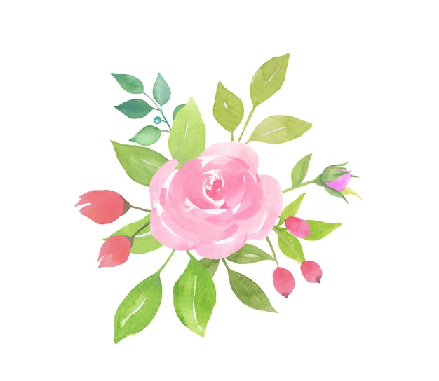 Vector bouquet of flowers with rose and leaves