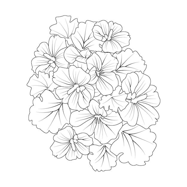 手描きの背景スケッチ ゼラニウムの花の花束白い背景で隔離の塗り絵。