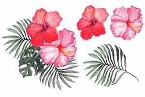 Vector bouquet hibiscusflower painted with watercolors for decorating invitation cardsaloha hawaii