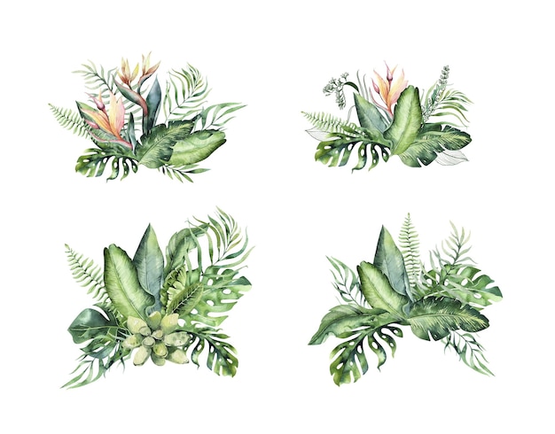 Bouquet di fiori della giungla con zenzero heliconia uccello del paradiso sansiveria e pittura ad acquerello di palma
