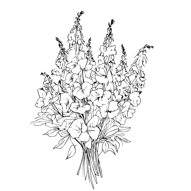 Vector bouquet of larkspur line drawing vector sketch delphinium flower illustration leaf of bud style