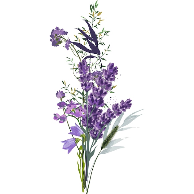 Bouquet of lavender field flowers