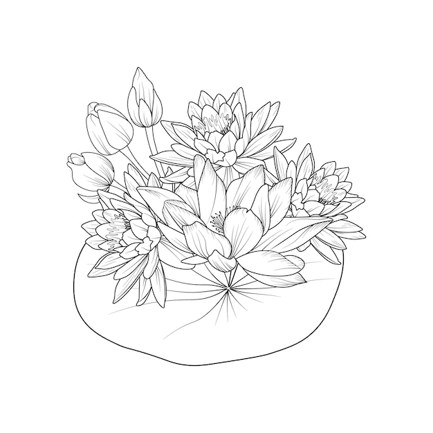 Bouquet of lotus flower  hand drawn pencil sketch coloring page and book for adult isolated on white