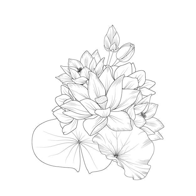 Bouquet of lotus flower hand drawn pencil sketch coloring page and book isolated on white background